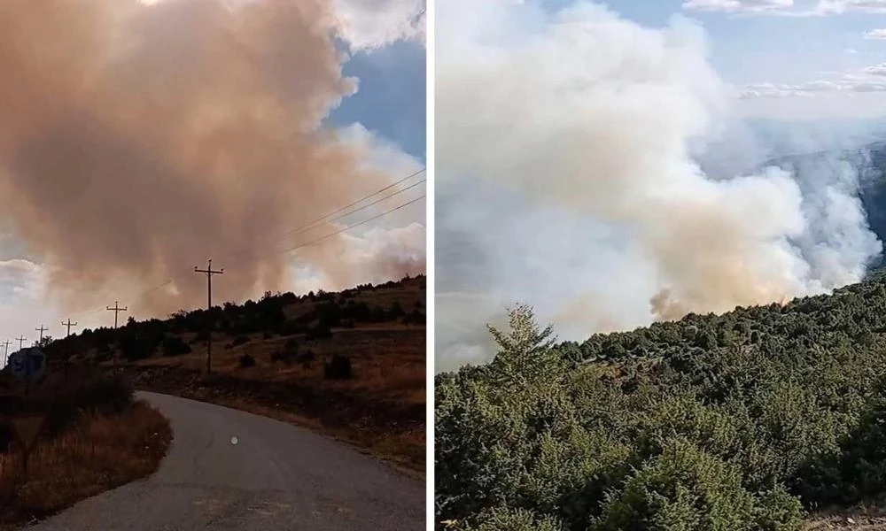 Πτολεμαΐδα: Μαίνεται η φωτιά στη Βλάστη – Ενισχύθηκαν οι δυνάμεις